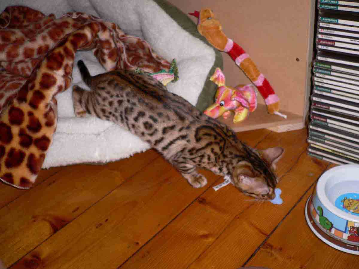 our baby rani