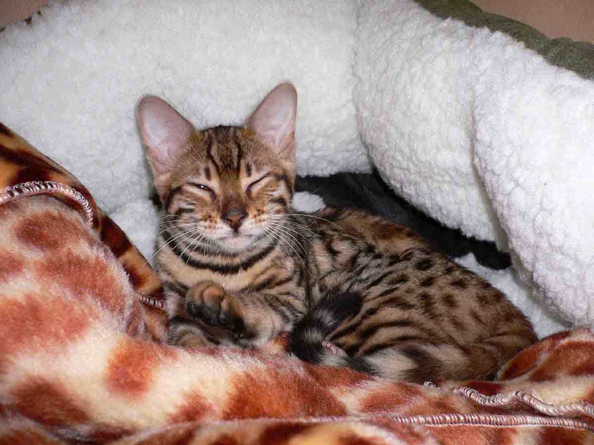 im snuggly