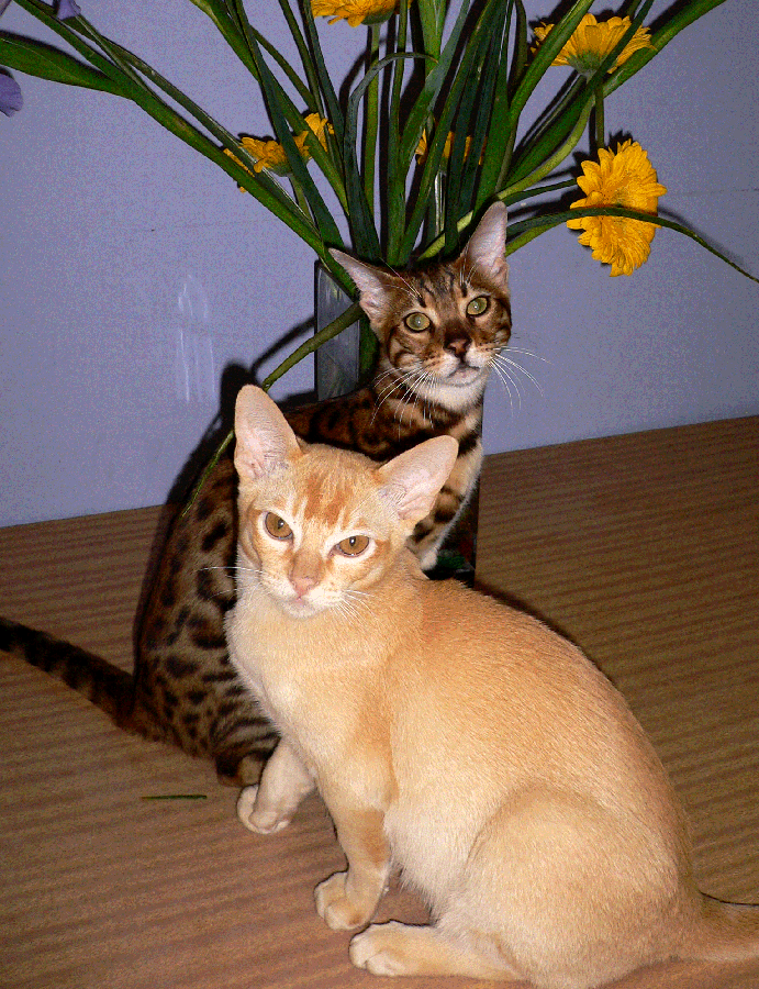 rani n rohan sept 1