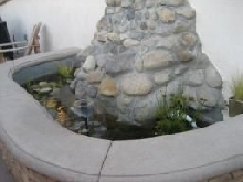 Pond