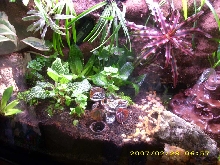 front veiw of new pdf tank
