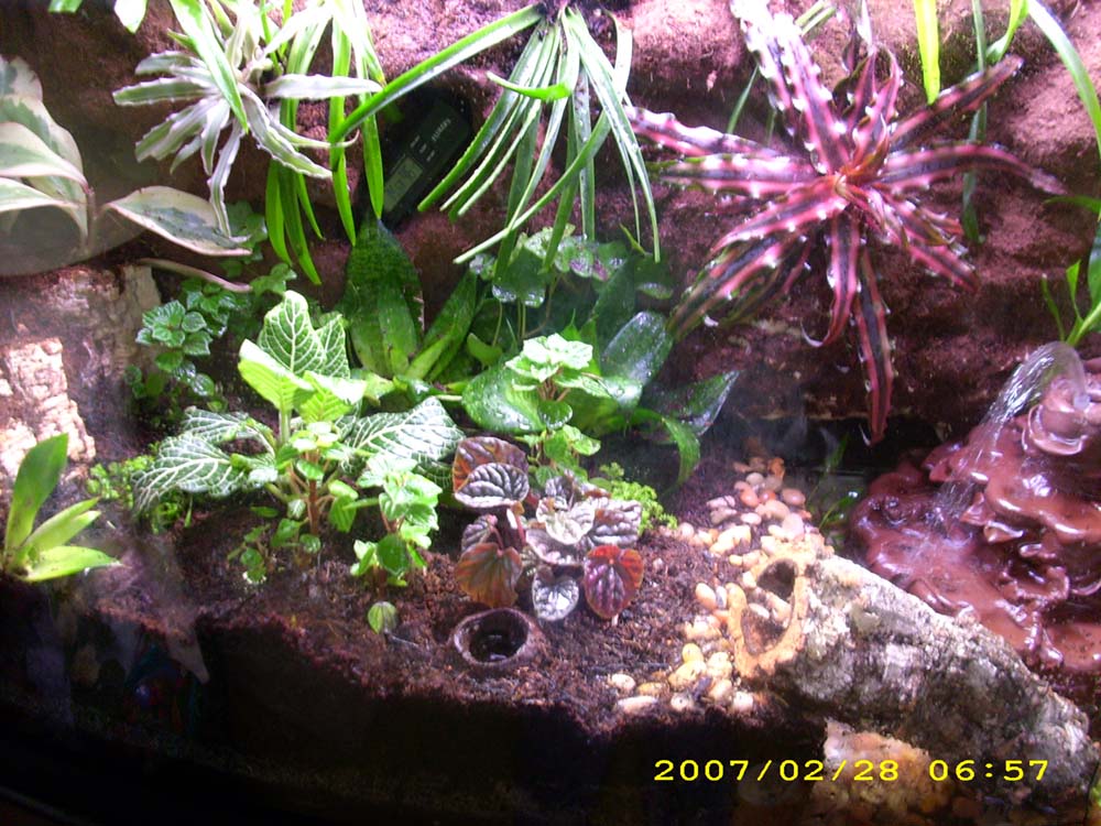 front veiw of new pdf tank