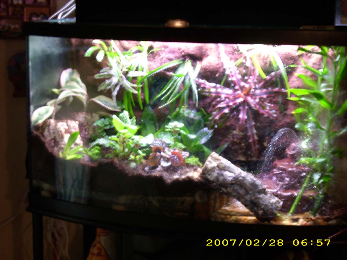 complete front veiw