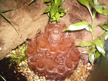 water fall new pdf tank