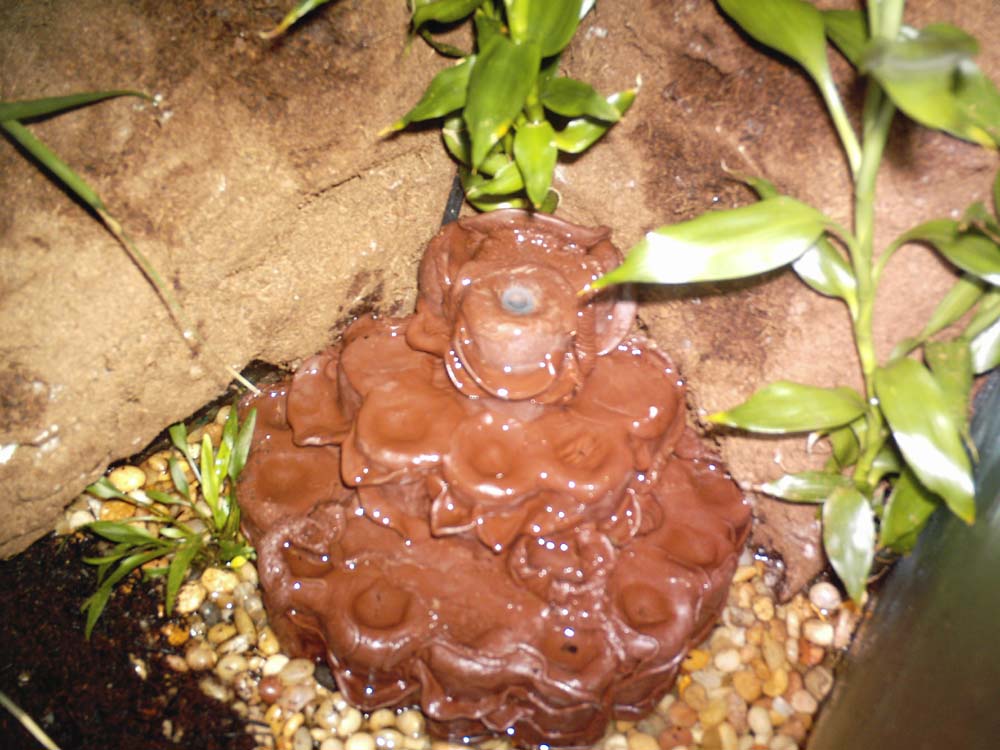 water fall new pdf tank