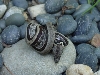 snail on the rocks