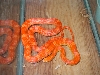 Red Albino Corn