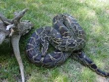 Garth My 17 footer
