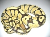Hypo Ghost Ball