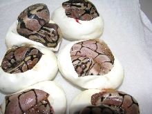 Vanilla Spider