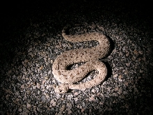 Winder/big 6.16.06