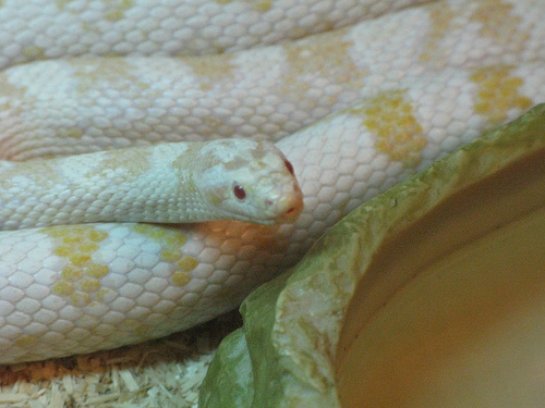 What a face!