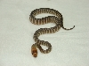 baby woma 2