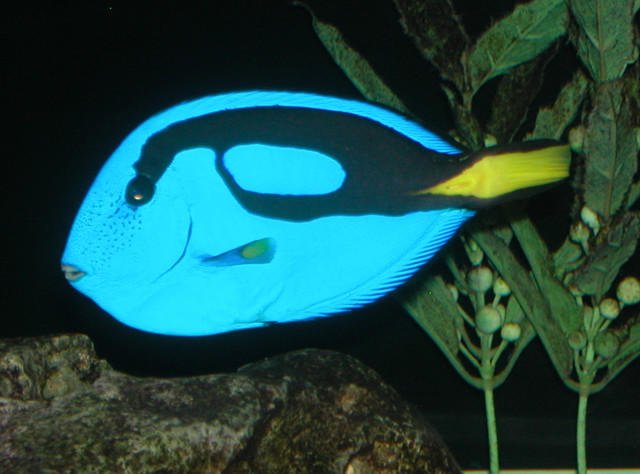 Saltwater Photos