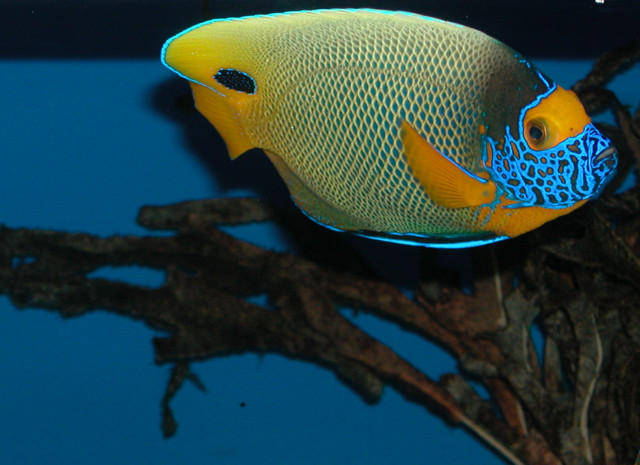 Saltwater Photos