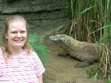 Komodo Dragon at Pittsburgh Zoo