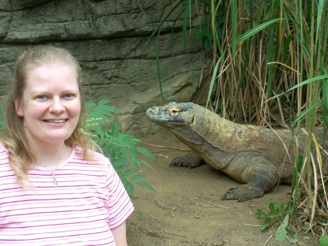 Komodo Dragon at Pittsburgh Zoo