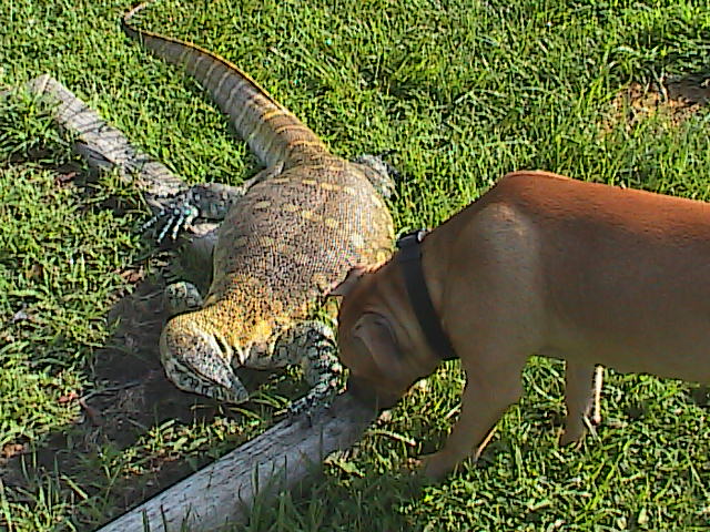 "Best Buds"