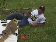 Playing corn hole