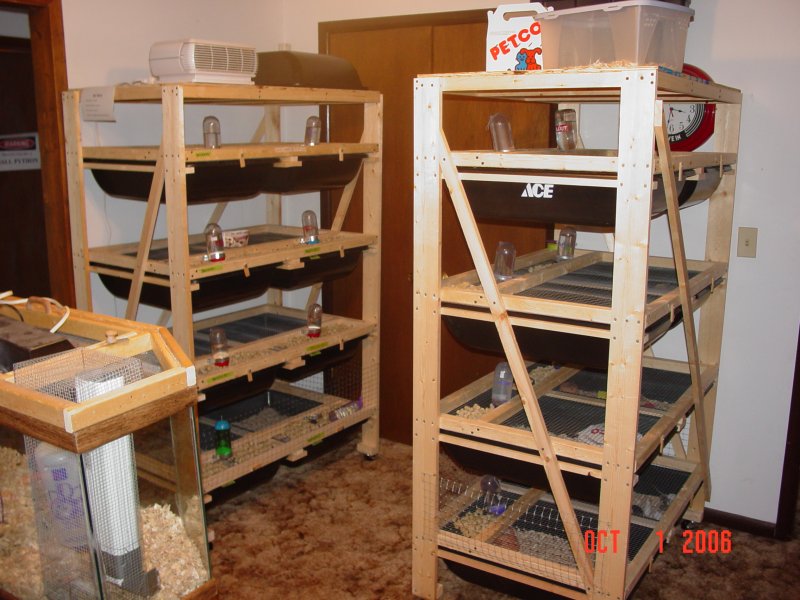 Rodent Racks