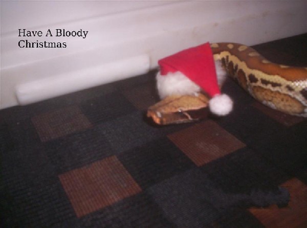 Bloody Christmas