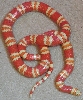 Hondo Female