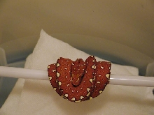 Chondro Red 3