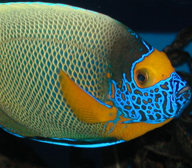 Saltwater Photos