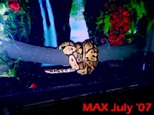 MAX home sweet home...