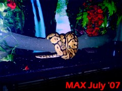 MAX home sweet home...