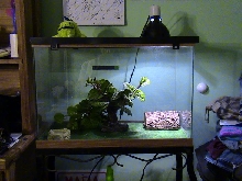 another view