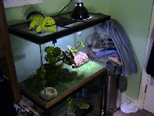 view of santino tank #3