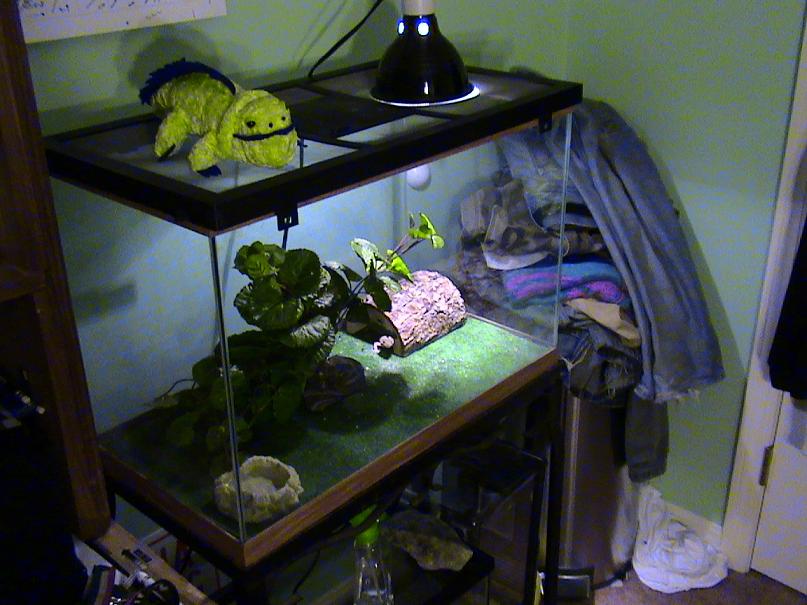 view of santino tank #3