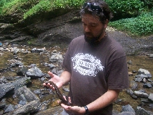 Hellbender