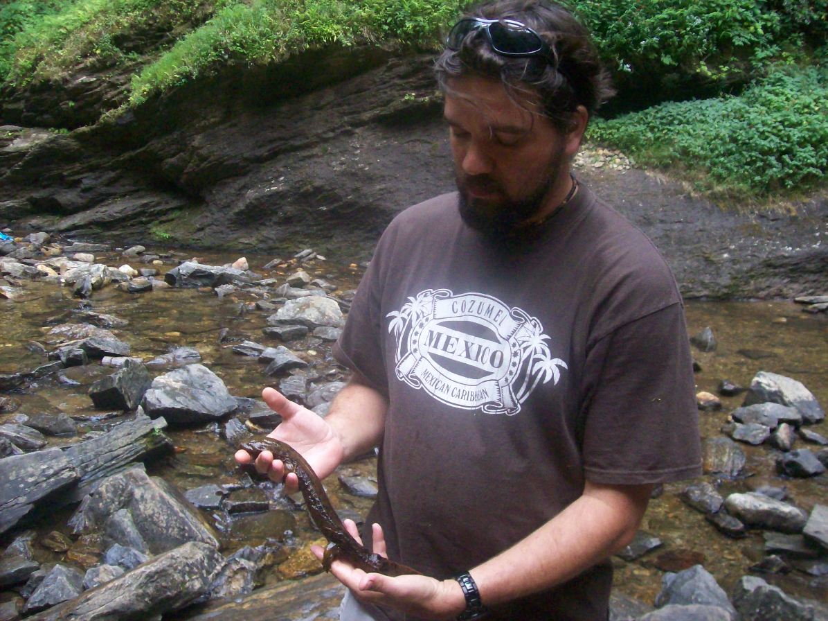 Hellbender