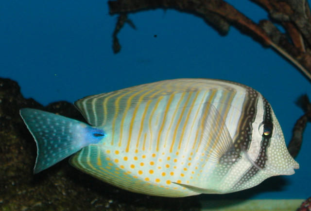 Saltwater Photos