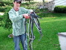 Mine and Johns Blue Racers  05-11-2007 1