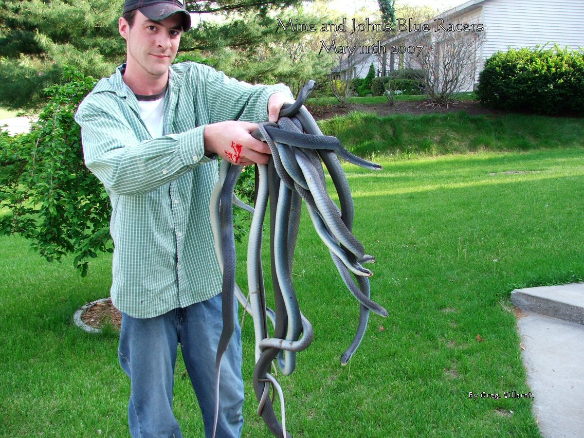Mine and Johns Blue Racers  05-11-2007 1