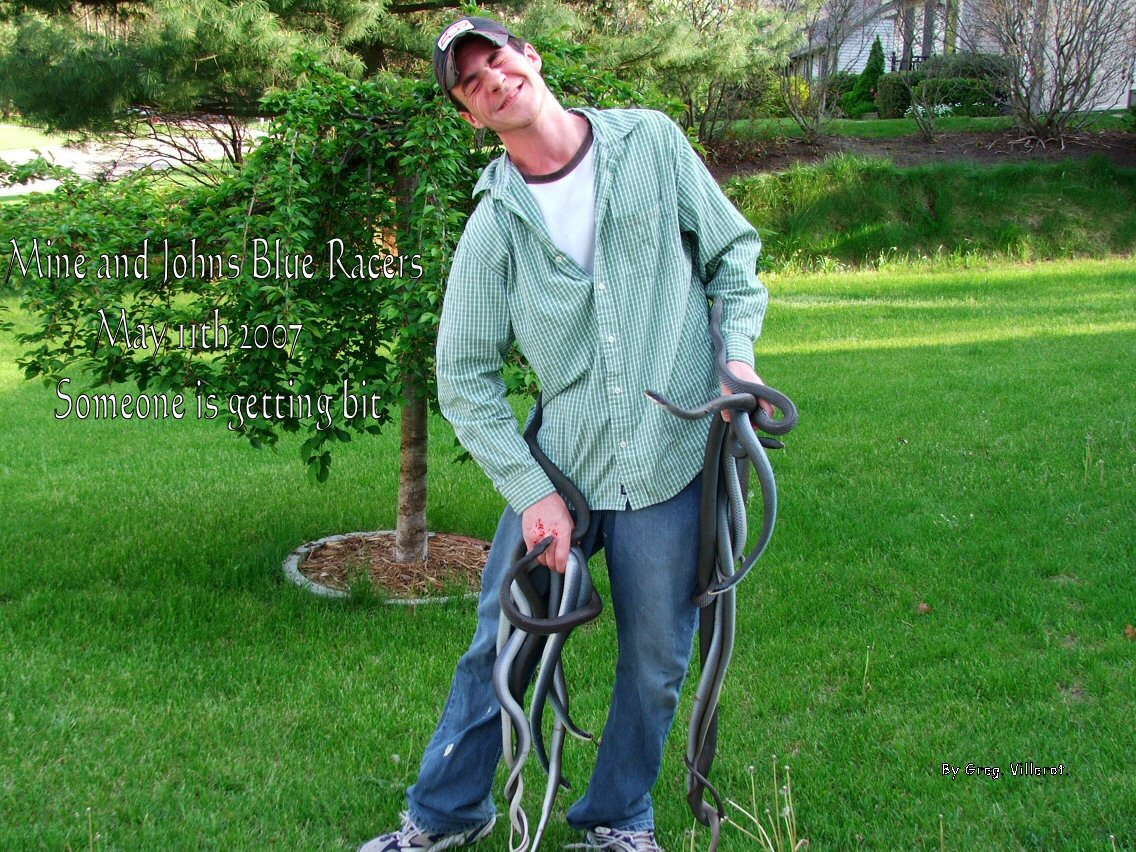 Mine and Johns Blue Racers  05-11-2007