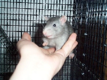 John Jr.