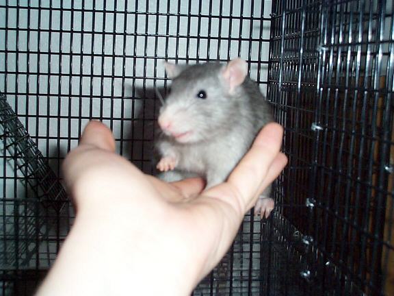 John Jr.