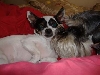 Jack and Maria3