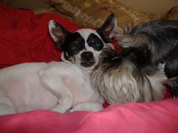 Jack and Maria3