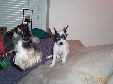 Jack and Maria2