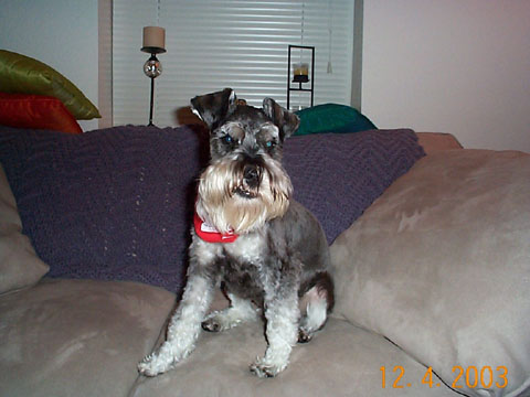 Jack