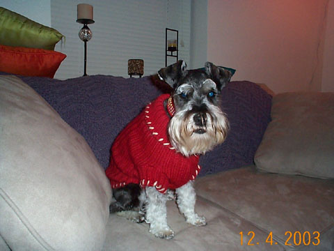 All Dressed Up