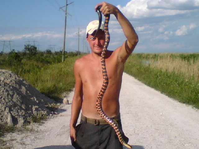 Mud Snake