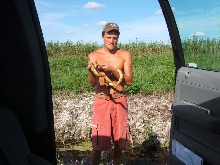 5-1/2 foot rat snake
