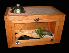 bearded dragon cage