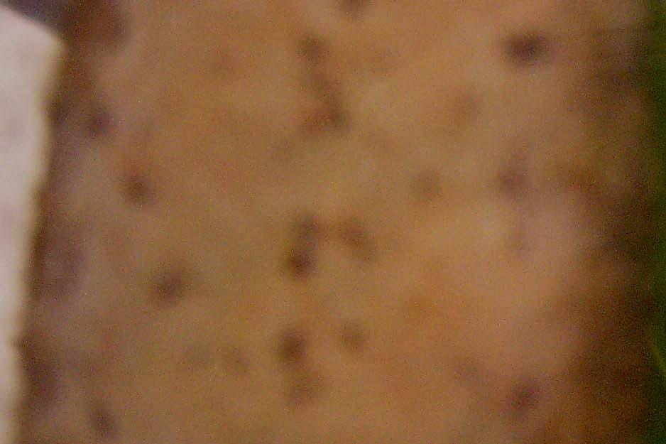 egg? (3)